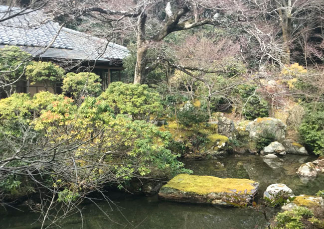 雨水